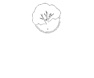 British Kiln Dried Logs